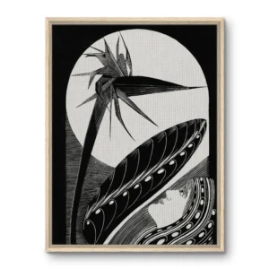 Uitgebloeide strelitzia Samuel Jessurun