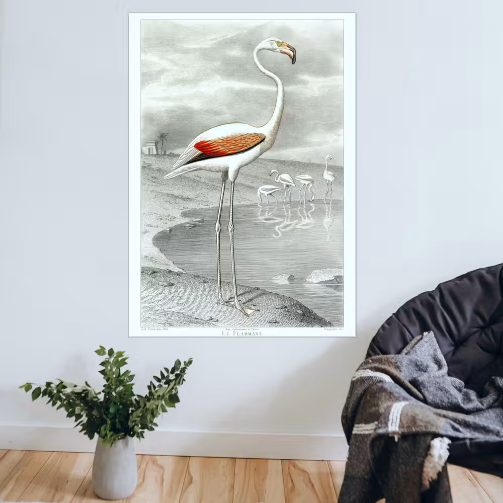 Le Flammant | Poster semibrilho - Image 3