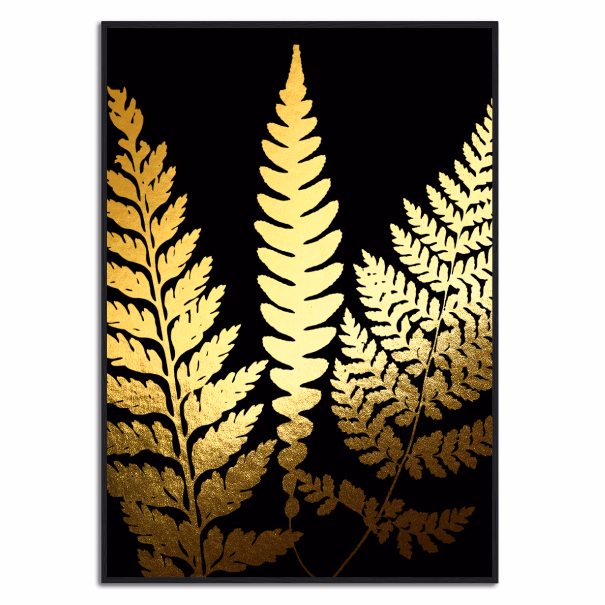 Fern Photogram