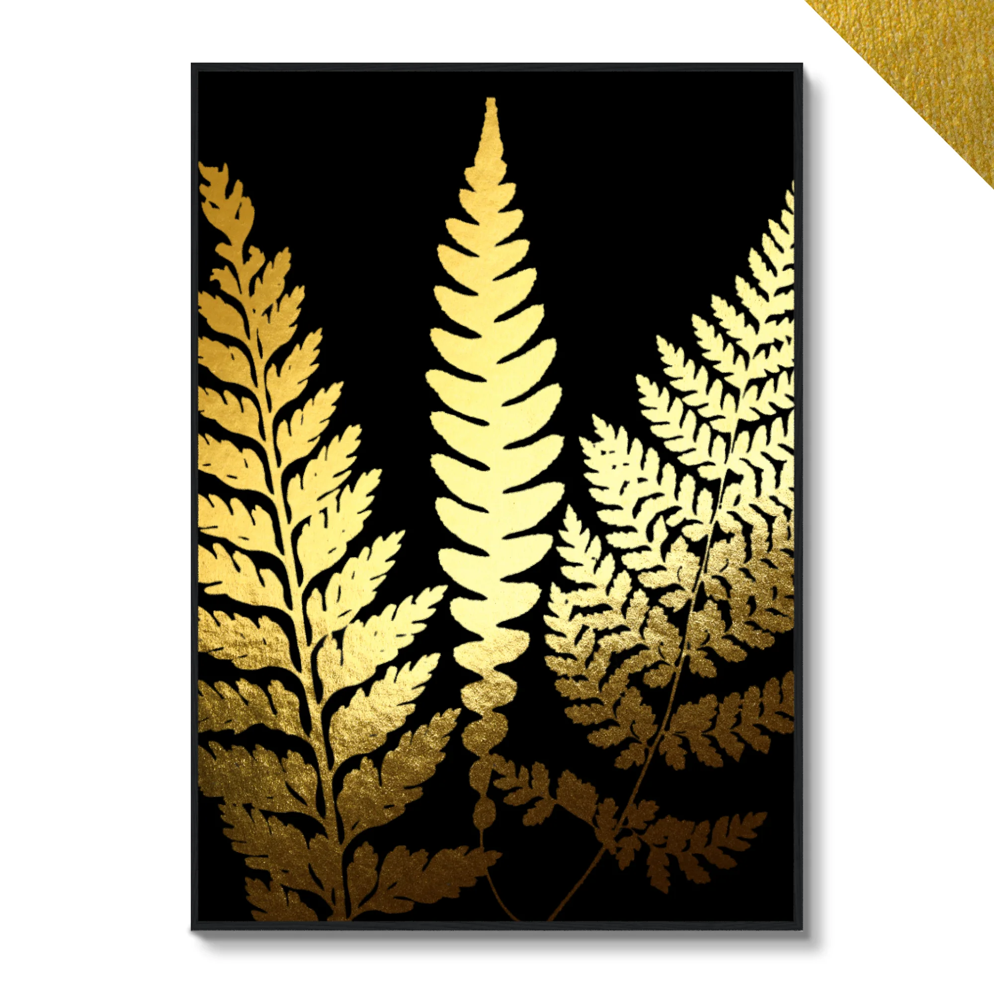 Untitled [fern photogram]
