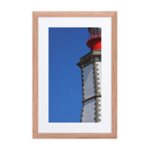 A light for the wind - Image 4
